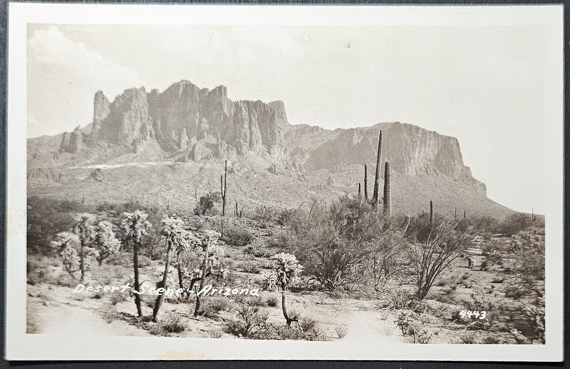(image for) postcard USA - AZ - Arizona #0010